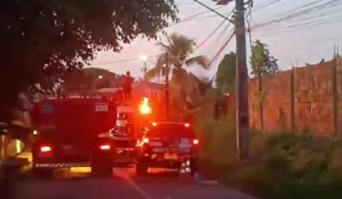 VEJA VÍDEO: Incêndio atinge empresa de reciclagem no Val Paraíso nests segunda (08)