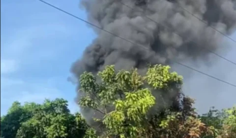 VEJA VÍDEO: Incêndio em lixeira clandestina ameaça mata na Avenida Abiruana no Distrito Industrial de Manaus