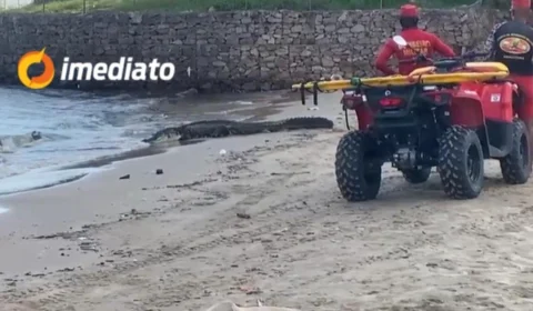 VEJA VÍDEO: Jacaré gigante é avistado por banhistas na Praia da Ponta Negra, em Manaus
