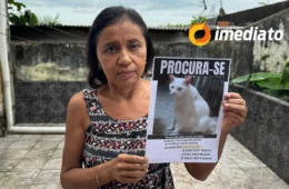 Tutora pede ajuda para encontrar gato desaparecido há 7 meses em Manaus