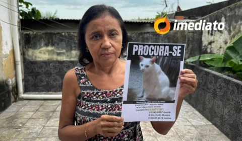 Tutora pede ajuda para encontrar gato desaparecido há 7 meses em Manaus