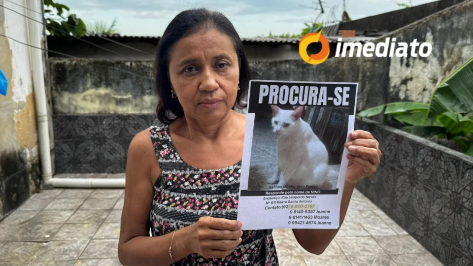 Tutora pede ajuda para encontrar gato desaparecido há 7 meses em Manaus