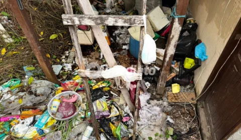 Vizinhos pedem ajuda para moradora que mantém mais de dez gatos e acumula lixo em casa no Nova Cidade