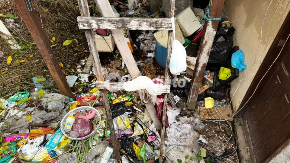 Vizinhos pedem ajuda para moradora que mantém mais de dez gatos e acumula lixo em casa no Nova Cidade