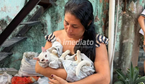 Moradores denunciam envenenamento de mais de 50 gatos em Beco no bairro Petrópolis
