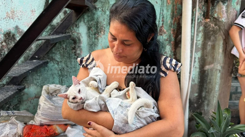 Moradores denunciam envenenamento de mais de 50 gatos em Beco no bairro Petrópolis