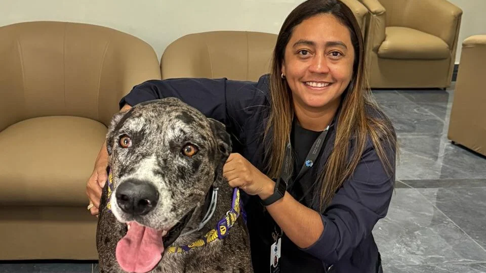 Setembro Lilás alerta para prevenção do câncer em pets