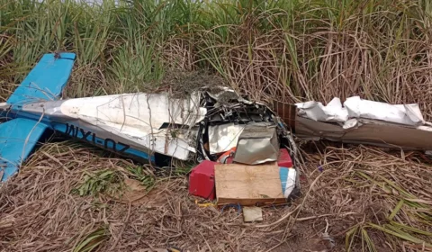 Vídeo mostra avião com 180 kg de cocaína caindo em canavial de Alagoas; piloto morre