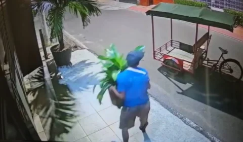 Veja flagrante de furto de vaso de planta em Parintins registrado por câmera de vigilância