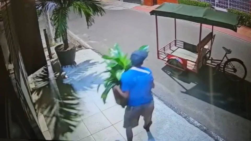 Veja flagrante de furto de vaso de planta em Parintins registrado por câmera de vigilância