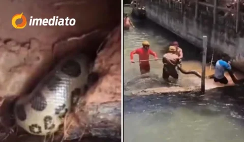 VÍDEO: Sucuri de cinco metros assusta banhistas e é resgatada em balneário de Rio Quente