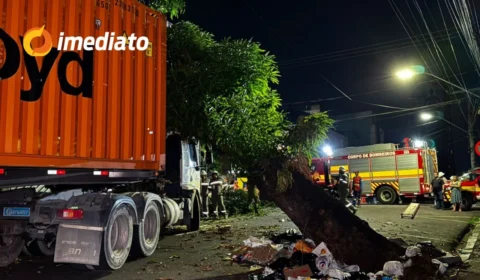 Árvore cai sobre carreta no centro de Manaus e interdita cruzamento da rua 24 de Maio com a rua Costa e Silva