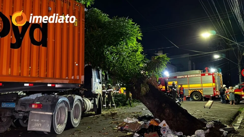 Árvore cai sobre carreta no centro de Manaus e interdita cruzamento da rua 24 de Maio com a rua Costa e Silva