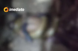 CENA CHOCANTE: Homem morre asfixiado por Sucuri após ser atacado em comunidade indígena