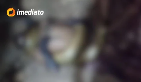 CENA CHOCANTE: Homem morre asfixiado por Sucuri após ser atacado em comunidade indígena