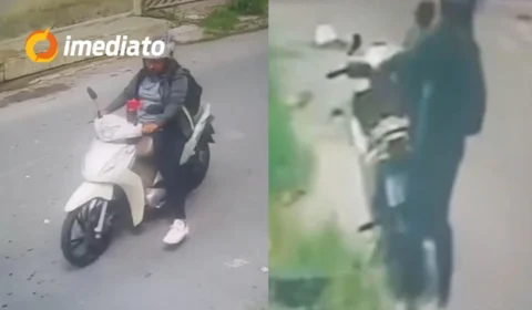 VÍDEO: Mulher é flagrada furtando cadelinha em plena luz do dia de residência no bairro Novo Aleixo
