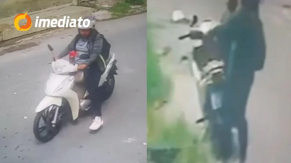 VÍDEO: Mulher é flagrada furtando cadelinha em plena luz do dia de residência no bairro Novo Aleixo