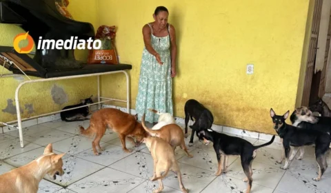 Moradora do bairro Cidade Nova pede ajuda para resgatar 22 cães e gatos após receber ordem de despejo