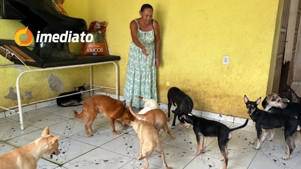 Moradora do bairro Cidade Nova pede ajuda para resgatar 22 cães e gatos após receber ordem de despejo