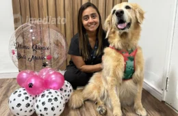 Outubro Rosa Pet: câncer de mama também pode afetar animais de estimação