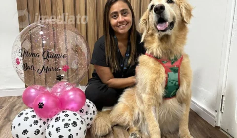 Outubro Rosa Pet: câncer de mama também pode afetar animais de estimação