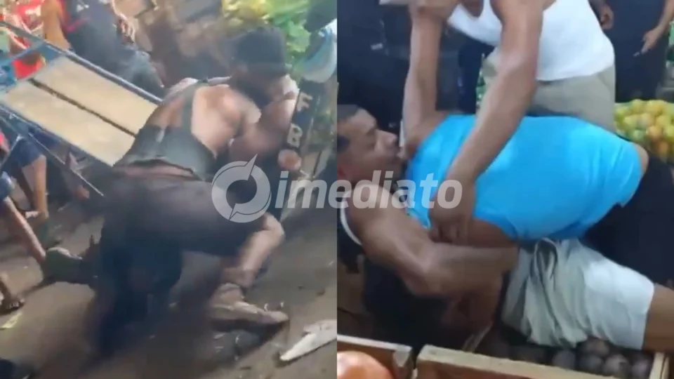 Veja o vídeo: trabalhadores trocam socos em ‘UFC Raiz’ clandestinas na Ceasa, no RJ