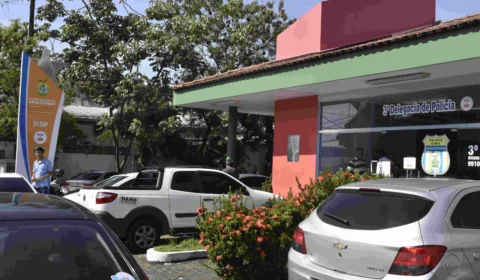 Polícia prende mulher por receptação de materiais de obra avaliados em mais de R$ 20 mil em Manaus