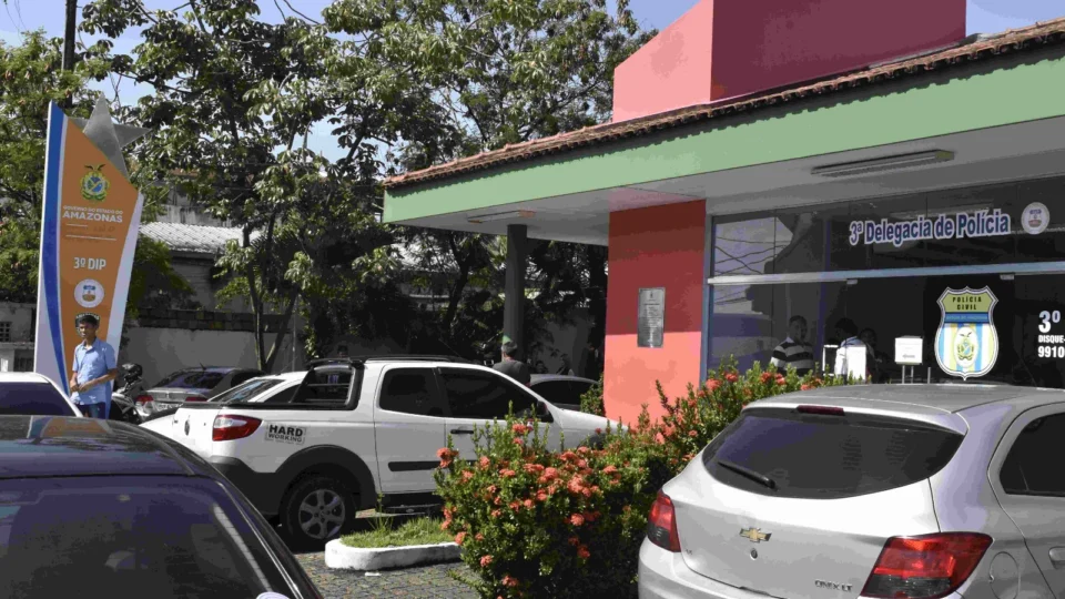 Polícia prende mulher por receptação de materiais de obra avaliados em mais de R$ 20 mil em Manaus