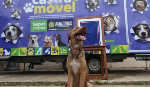 Nova unidade do Castramóvel é inaugurada e amplia atendimento veterinário gratuito em Manaus
