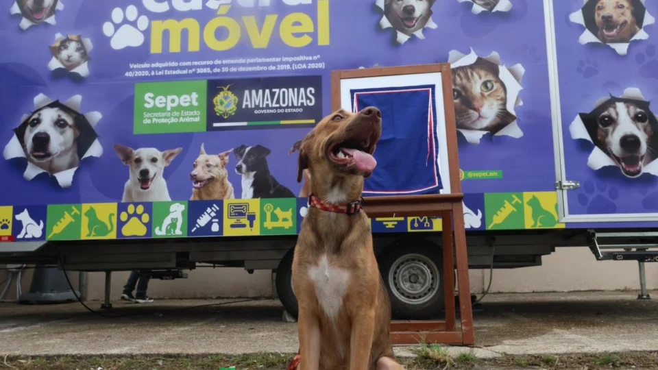 Nova unidade do Castramóvel é inaugurada e amplia atendimento veterinário gratuito em Manaus
