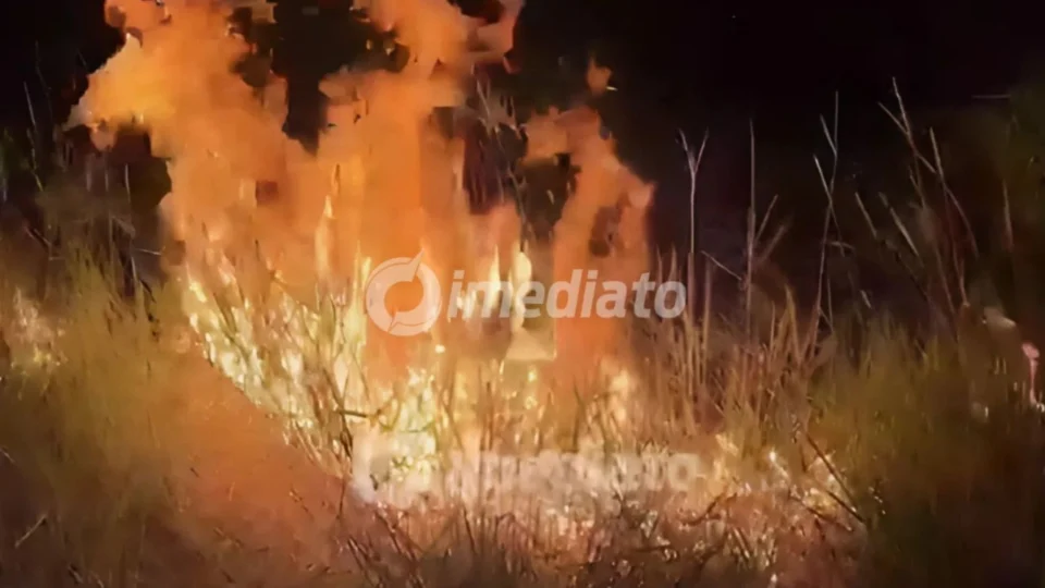 Incêndio atinge área de vegetação e ameaça residências no bairro Murilo Teixeira, em Boa Vista