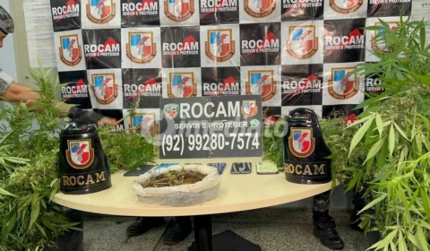 ROCAM desarticula plantação de maconha em sítio e prende cinco suspeitos no bairro Tarumã