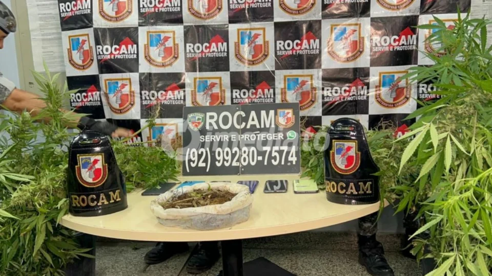 ROCAM desarticula plantação de maconha em sítio e prende cinco suspeitos no bairro Tarumã