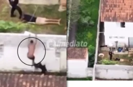 VÍDEO: Bandido invade casa ao tentar fugir de operação policial e é atacado por pitbull