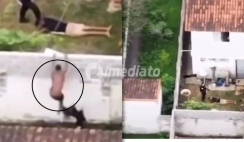 VÍDEO: Bandido invade casa ao tentar fugir de operação policial e é atacado por pitbull