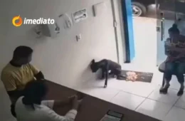 Vídeo emocionante: Cachorro entra em clínica veterinária e mostra pata machucada