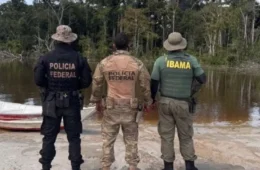 PF e Polícia da Colômbia destroem 14 dragas de garimpo ilegal na fronteira amazônica