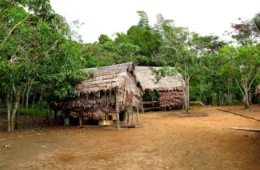 Oito homens são suspeitos de abusar de adolescente indígena de 12 anos em comunidade no Amazonas; crime foi filmado