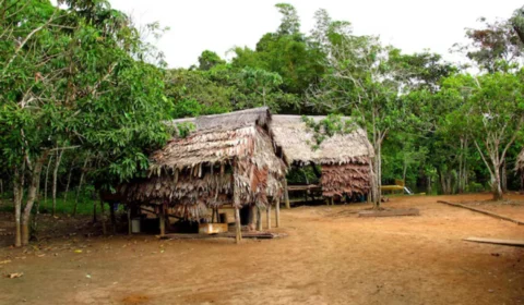 Oito homens são suspeitos de abusar de adolescente indígena de 12 anos em comunidade no Amazonas; crime foi filmado