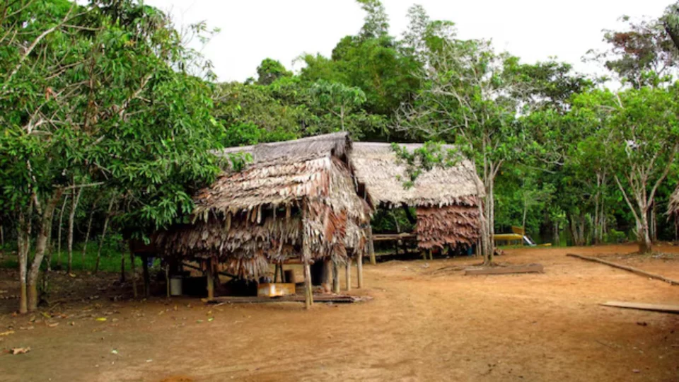 Oito homens são suspeitos de abusar de adolescente indígena de 12 anos em comunidade no Amazonas; crime foi filmado