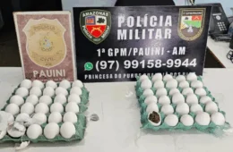 Mulher é presa ao tentar entregar drogas escondidas em ovos a custodiados em Pauini