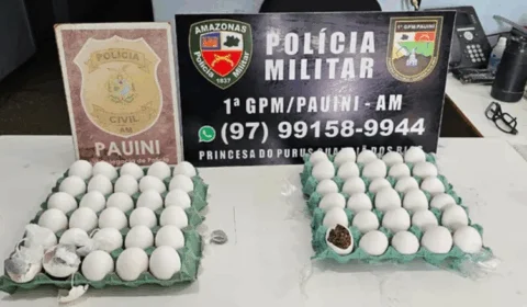 Mulher é presa ao tentar entregar drogas escondidas em ovos a custodiados em Pauini