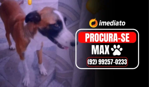 Veja o vídeo: Vizinho deixa portão aberto, cachorro com colar protetor foge e família fica desesperada à procura de Max no Tancredo Neves