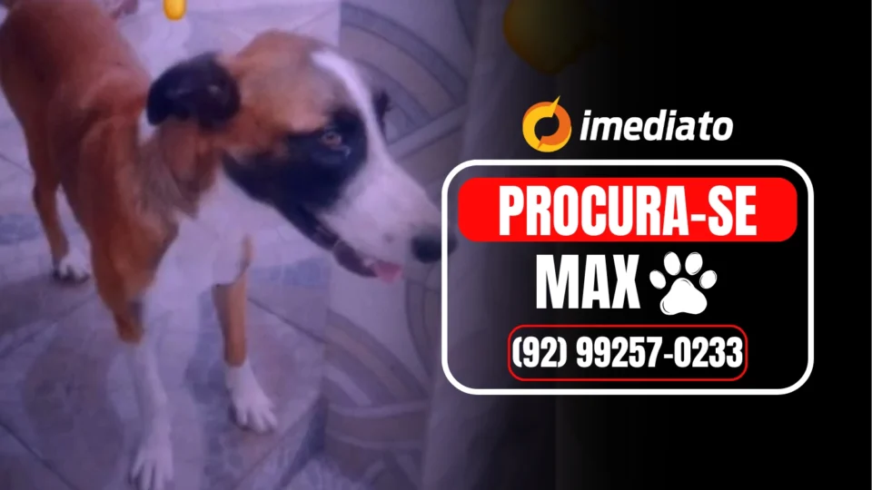 Veja o vídeo: Vizinho deixa portão aberto, cachorro com colar protetor foge e família fica desesperada à procura de Max no Tancredo Neves