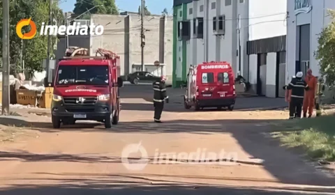 Ataque de abelhas assusta moradores do bairro São Vicente e mobiliza Bombeiros, em Boa Vista