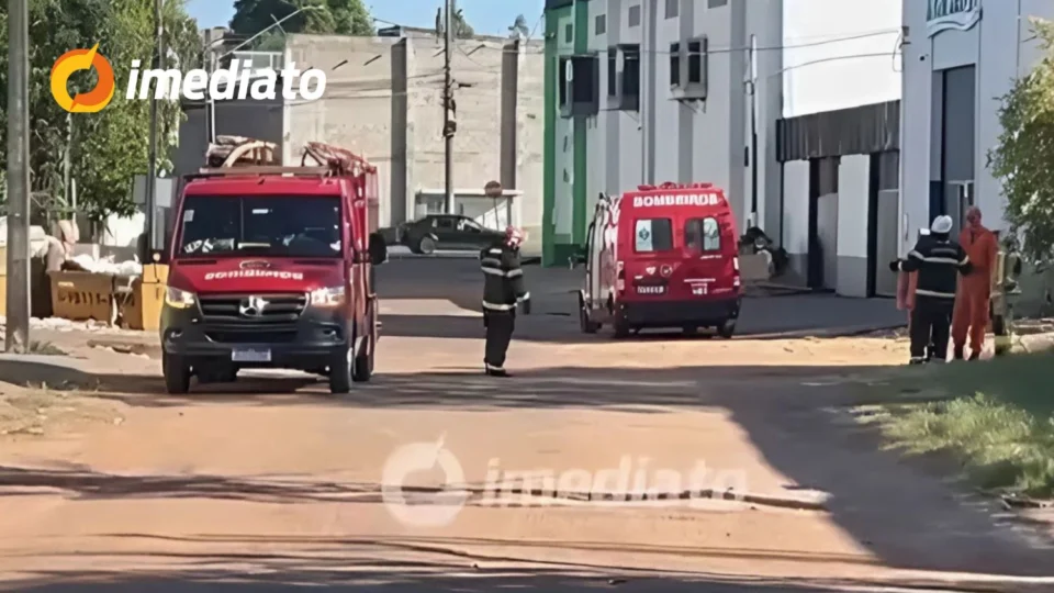 Ataque de abelhas assusta moradores do bairro São Vicente e mobiliza Bombeiros, em Boa Vista