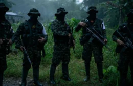 Facções brasileiras e guerrilhas colombianas transformam a Amazônia em campo de guerra, aponta pesquisa