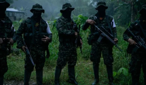 Facções brasileiras e guerrilhas colombianas transformam a Amazônia em campo de guerra, aponta pesquisa