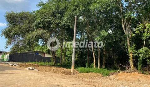 Moradores denunciam possível crime ambiental em área do conjunto Augusto Montenegro, no Lírio do Vale 2