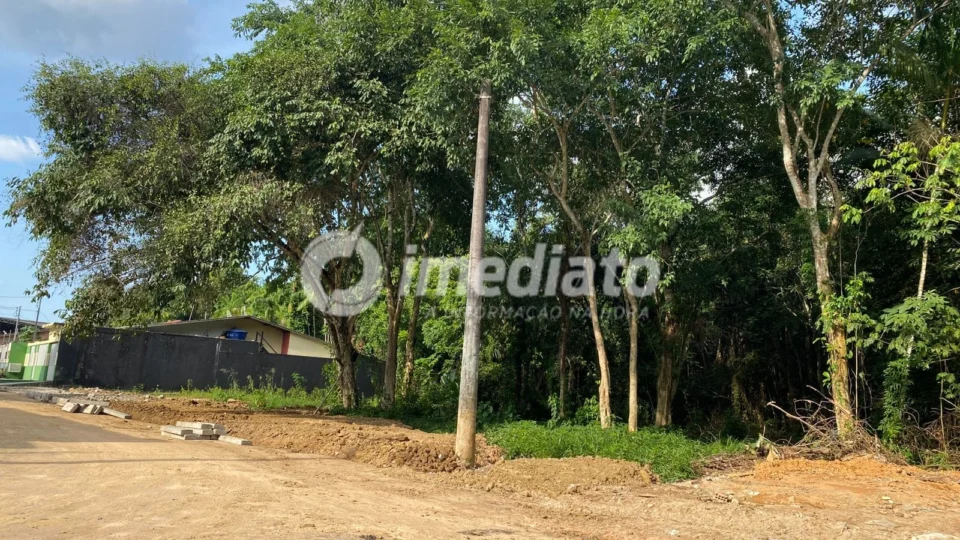 Moradores denunciam possível crime ambiental em área do conjunto Augusto Montenegro, no Lírio do Vale 2